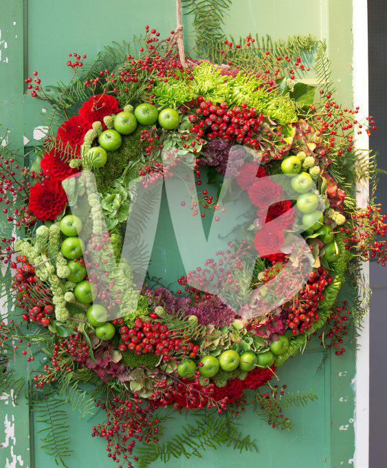 bloemen en planten vvbvanbree     1138